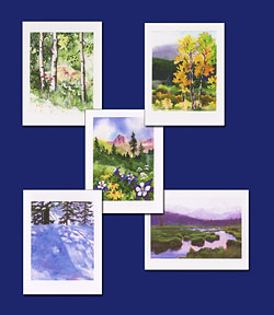Colorado Color notecard collection