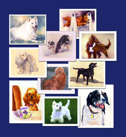 WOOF notecard collection