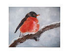 American Robin watercolor note card