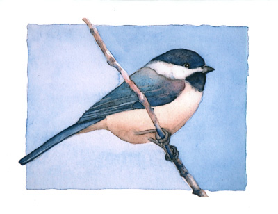 Black-capped Chickadee watercolor note cards
