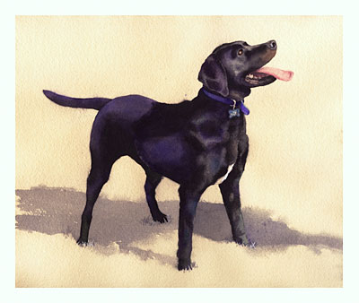 Born to Fetch watercolor note cards