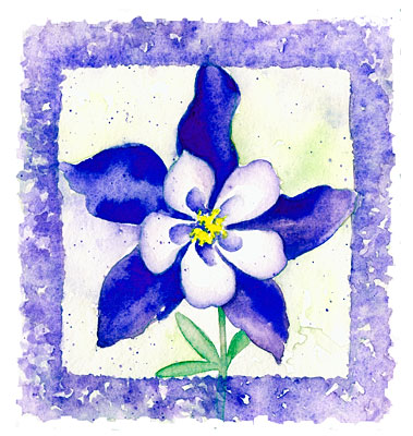 Columbine watercolor note cards