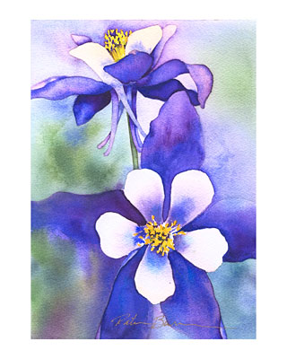 Columbines watercolor note cards