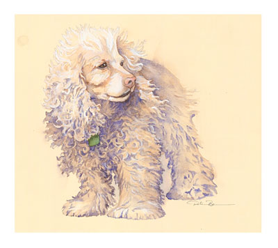 Far Away Cockerspaniel watercolor note cards