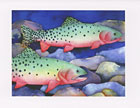 Greenback Cutthroats watercolor note card