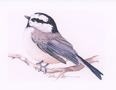 Mountain Chickadee watercolor note cards