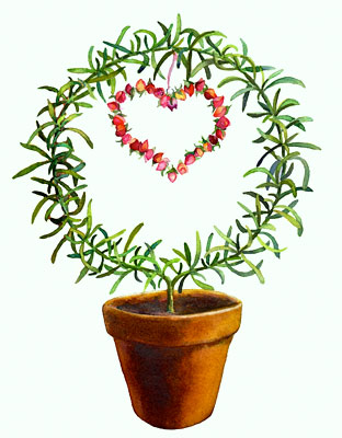 Rosemary and Rosebuds watercolor note cards